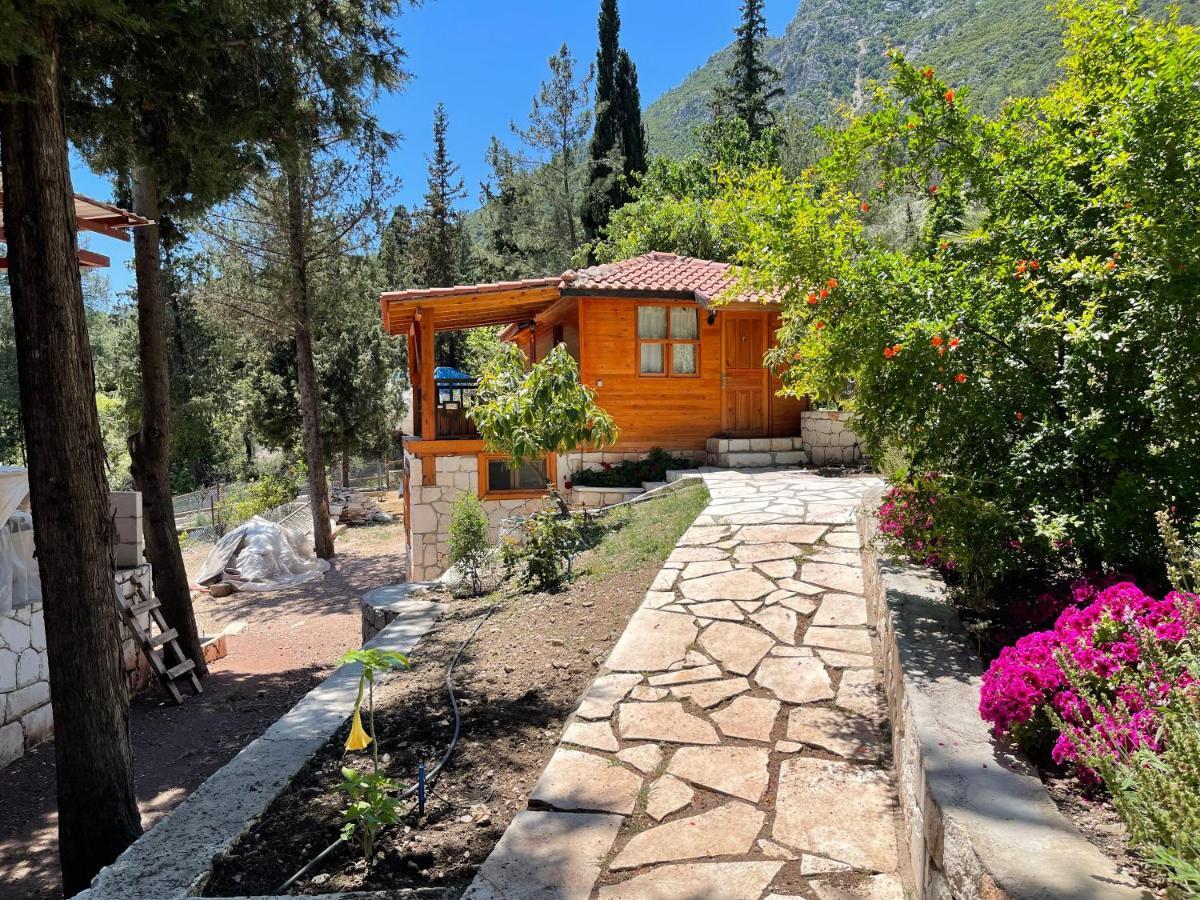 Trinitys Forest Bungalows Кемер Экстерьер фото