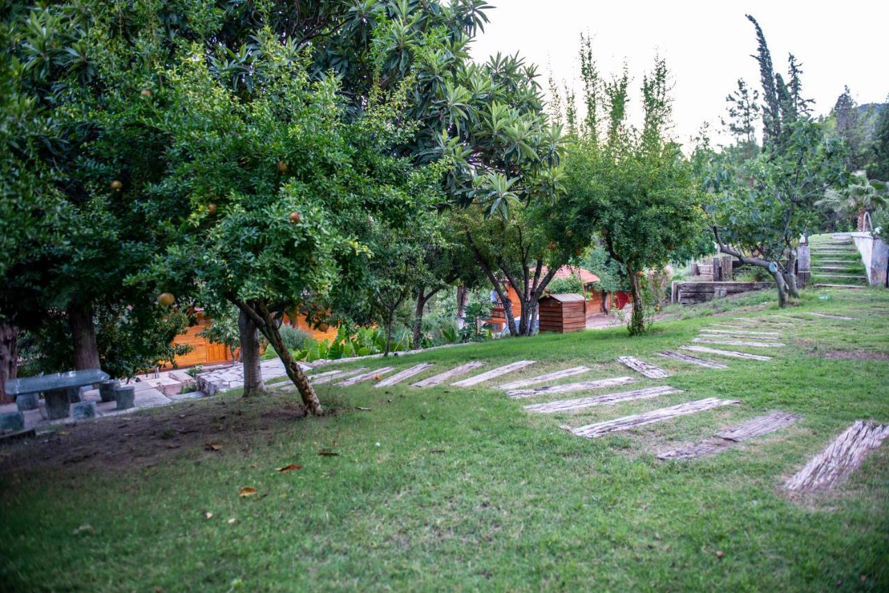 Trinitys Forest Bungalows Кемер Экстерьер фото