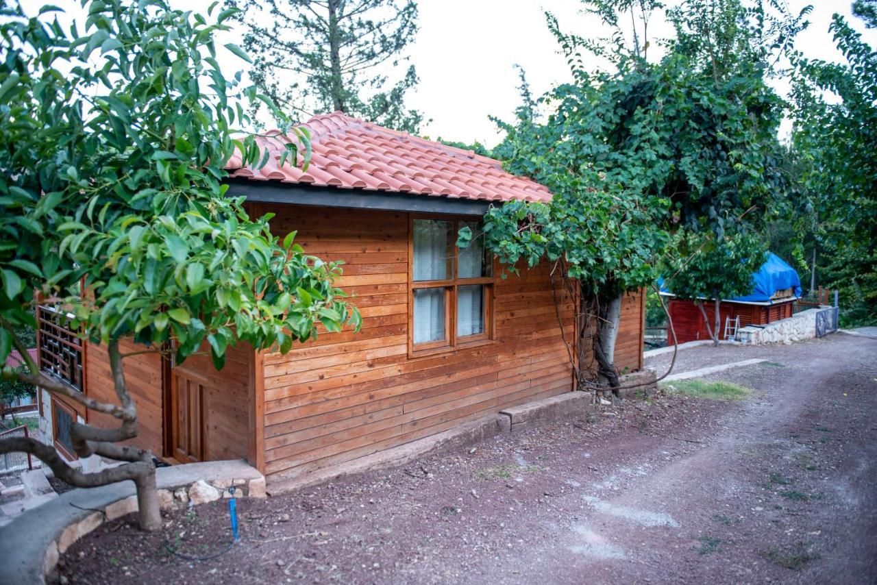 Trinitys Forest Bungalows Кемер Экстерьер фото