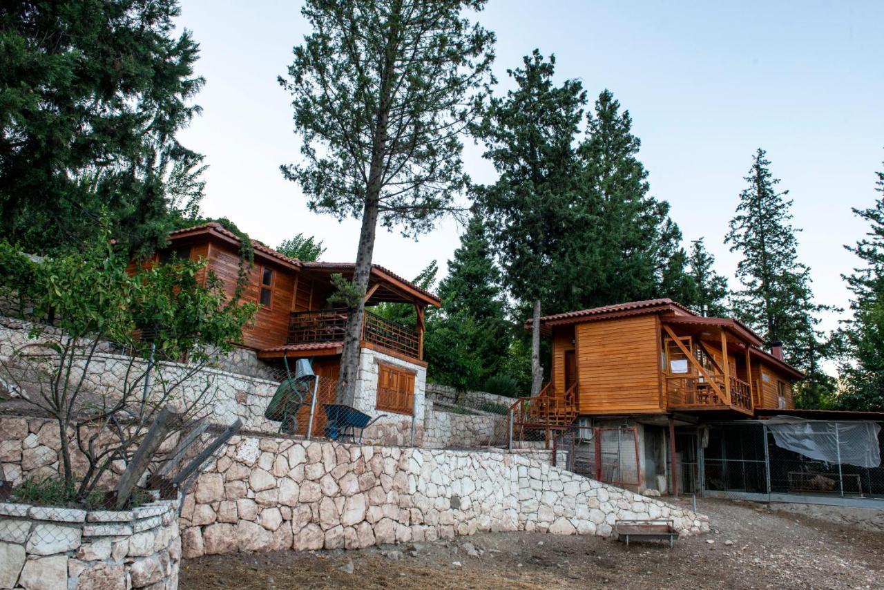 Trinitys Forest Bungalows Кемер Экстерьер фото