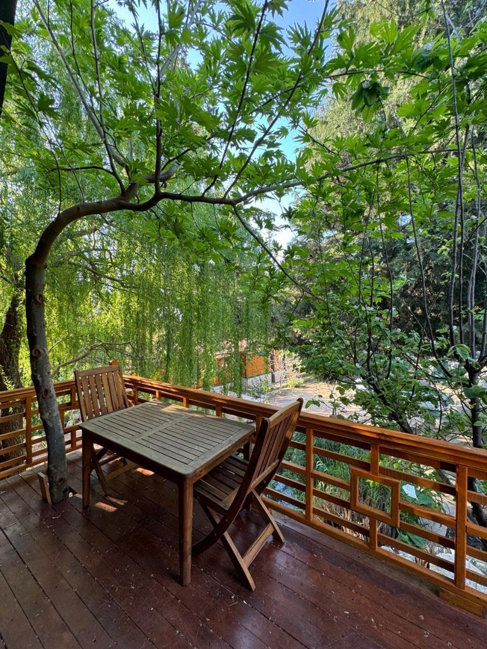 Trinitys Forest Bungalows Кемер Экстерьер фото